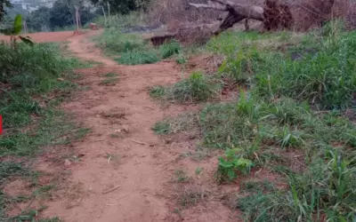 Yaoundé - Mvog Manze - Proche Odza