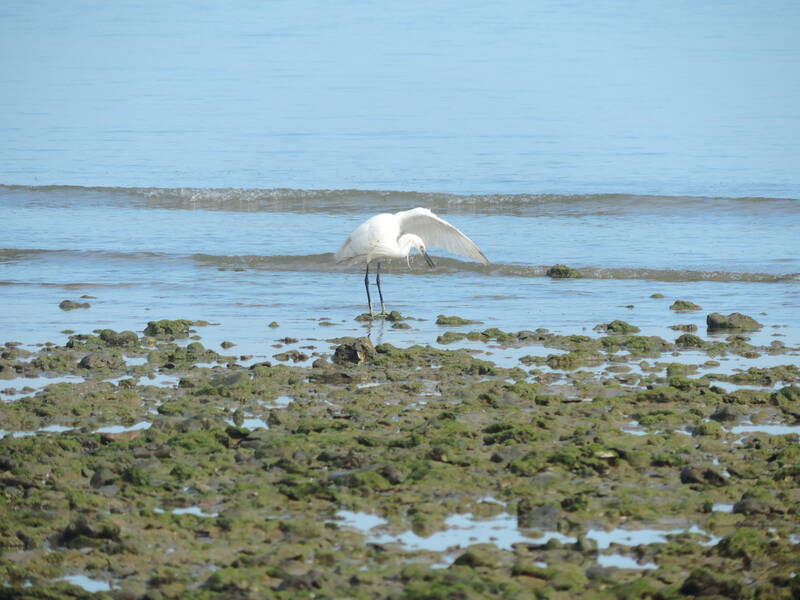 Chipiona