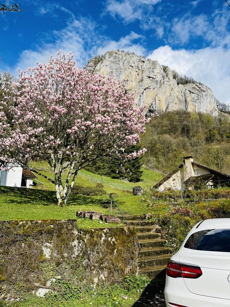 Mouthier-Haute-Pierre (25920)
