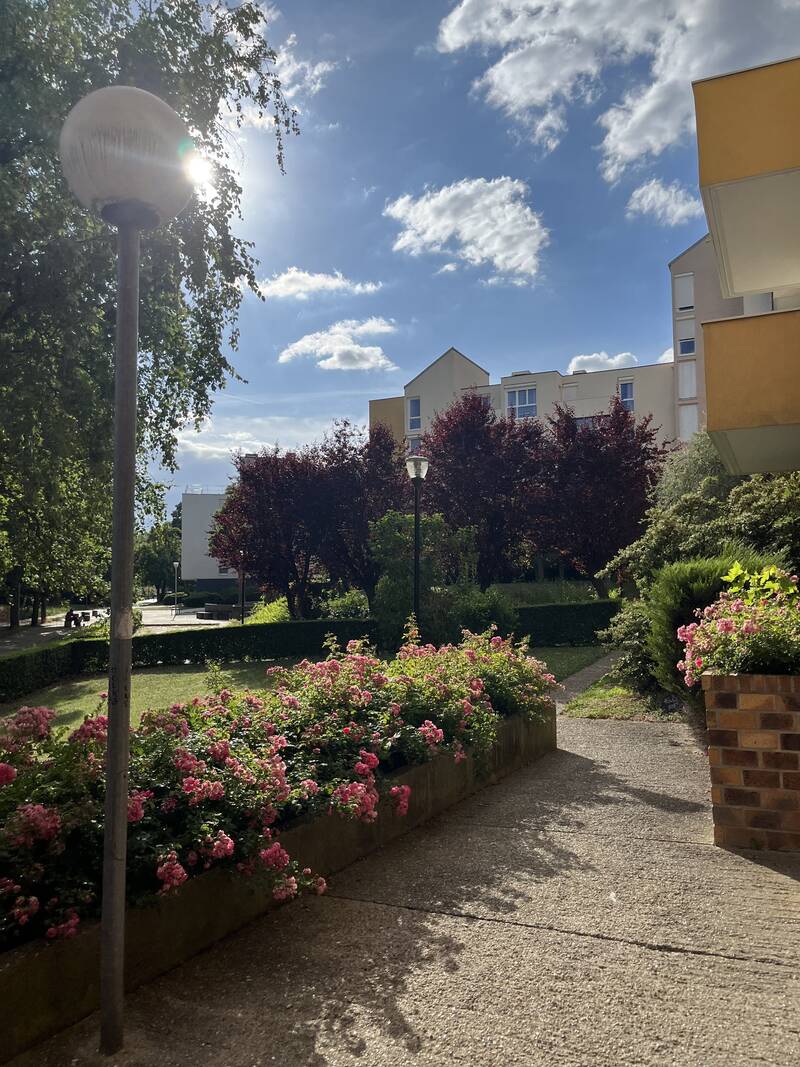 Cergy (95000)