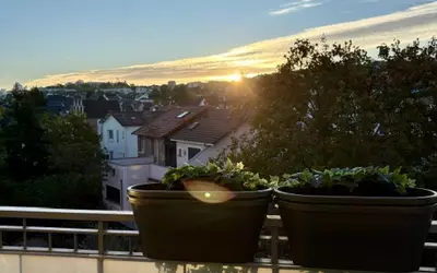 Rueil-Malmaison (92500)