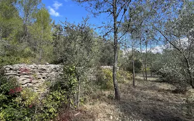 Aujargues (30250)