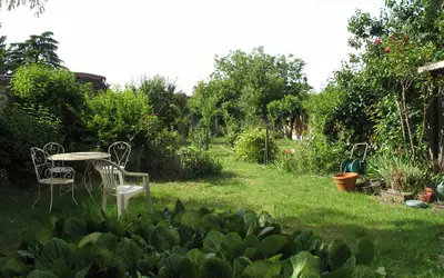 Meaux (77100)