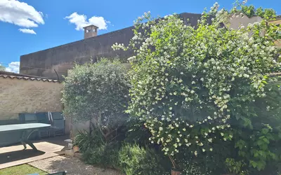 Saint-Martin-De-La-Brasque (84760)