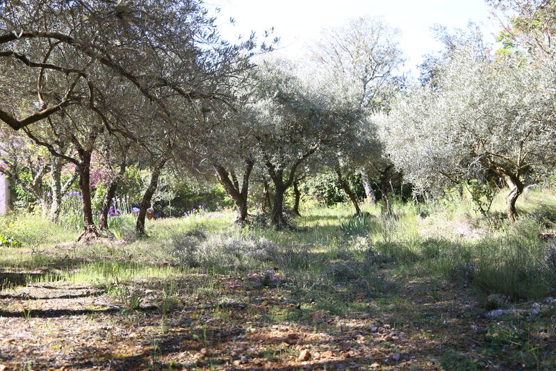 La Verdière (83560)