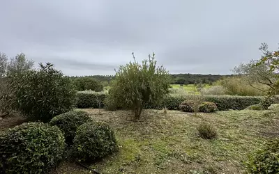 Nîmes (30000)