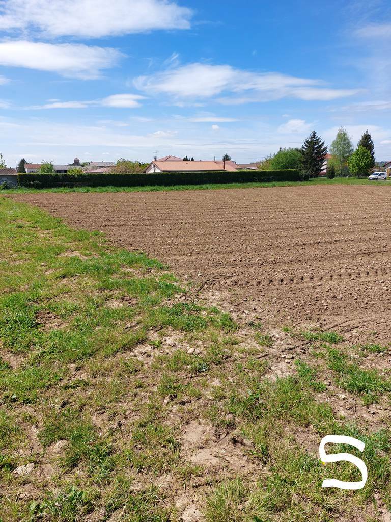 Chazey-Sur-Ain (01150)