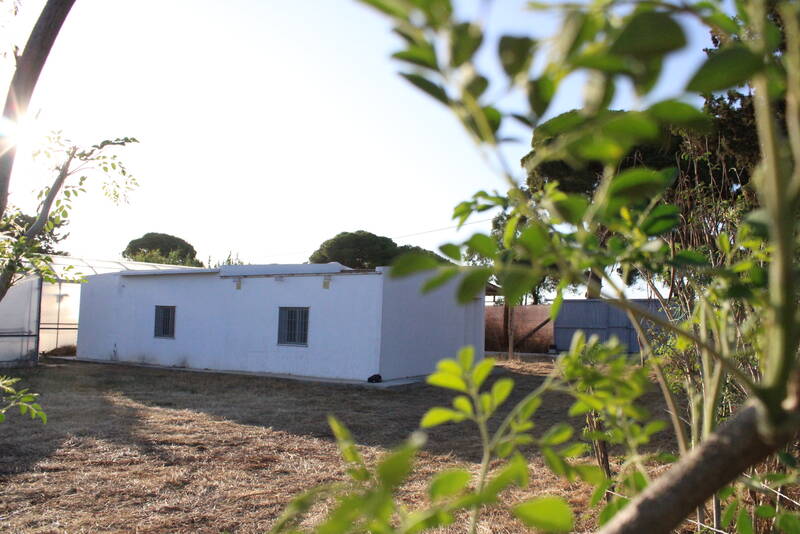 Chipiona