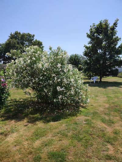Vente maison 8 pièces Sainte-Foy (85150)