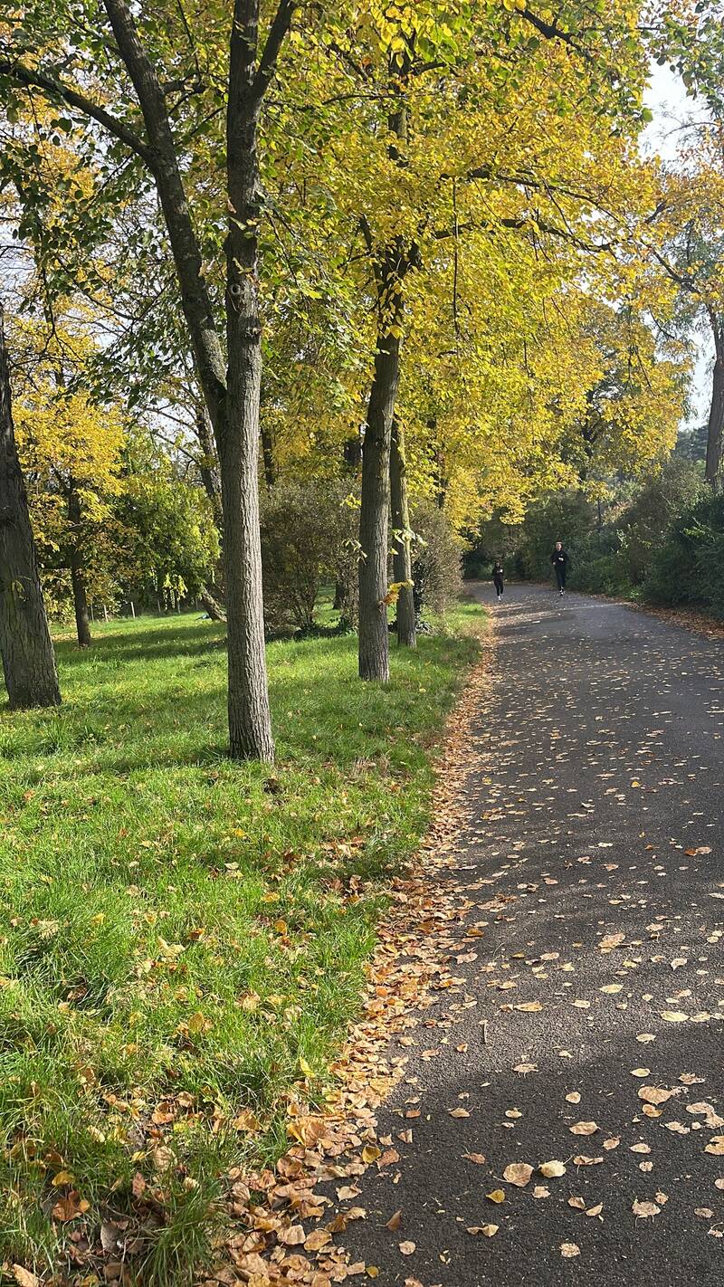 Neuilly-Sur-Seine (92200)