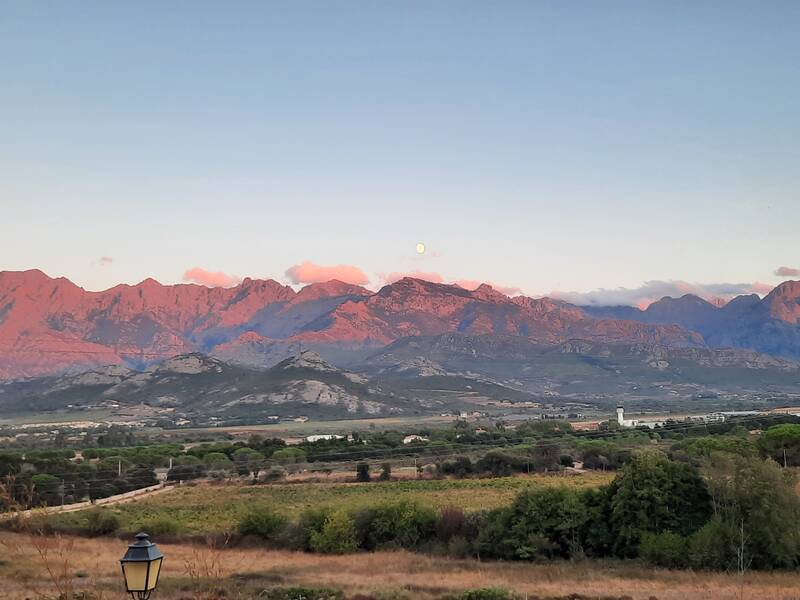 Calvi (20260)