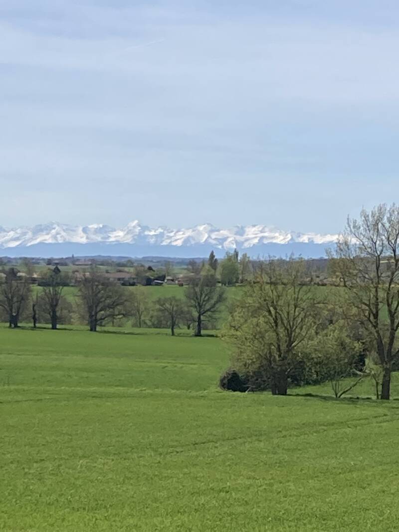 L'isle-Jourdain (32600)