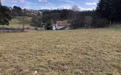 Saint-Pal-De-Mons (43620)