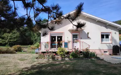 Saint-Dié-Des-Vosges (88100)