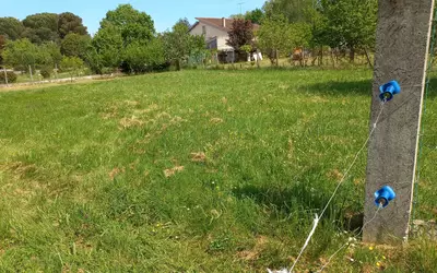 Nègrepelisse (82800)