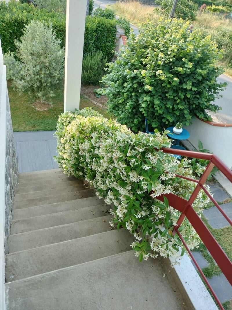 En Bord De Loire-Proche Angers