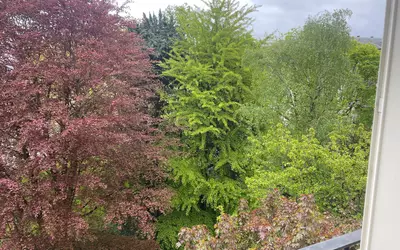 Sceaux (92330)