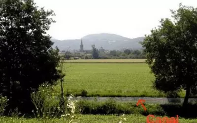 Martres-Tolosane (31220)