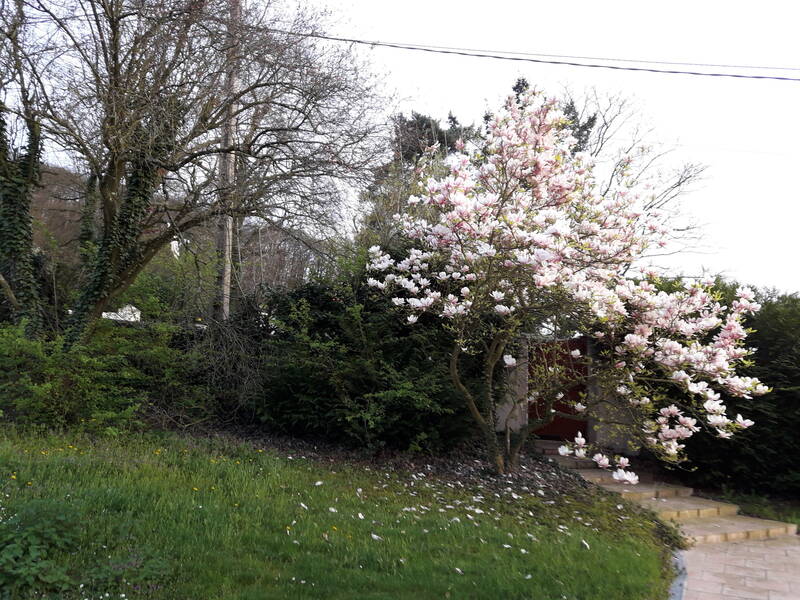 Montigny-Lès-Cormeilles (95370)