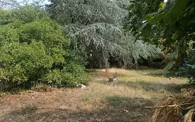Marmande (47200)