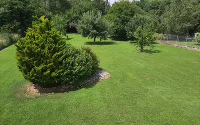 Ully-Saint-Georges (60730)