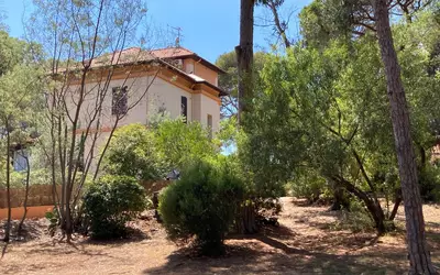 La Londe-Les-Maures (83250)