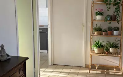 Montpellier (34000)