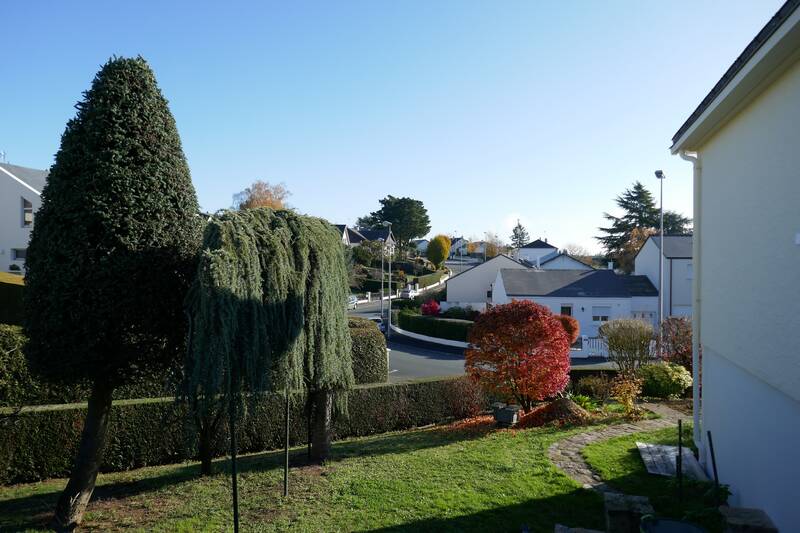 Cholet (49300)
