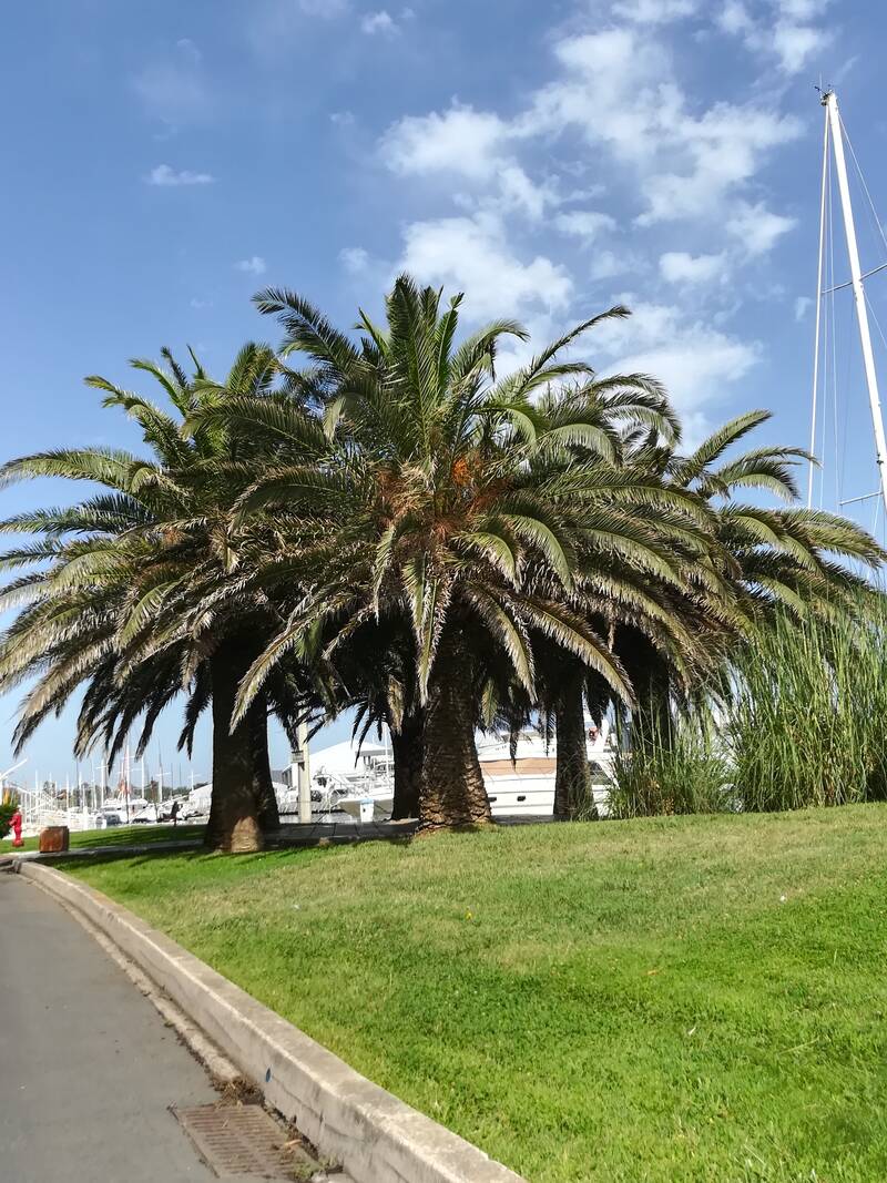 Canet-En-Roussillon (66140)