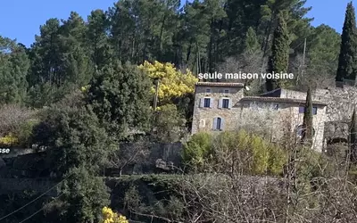 Vernon