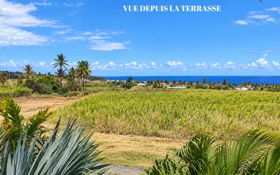 Saint-Pierre (97400)