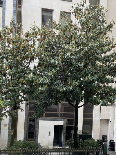 Vente appartement studio Paris 16e