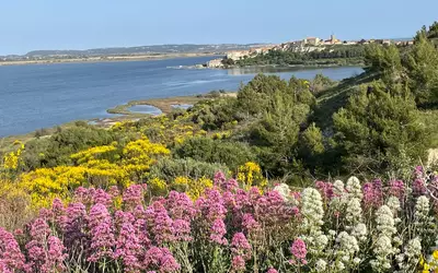 Bages (11100)