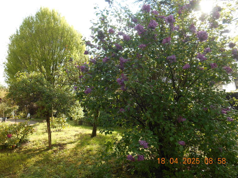 Ambronay (01500)