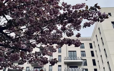 Neuilly-Sur-Seine (92200)