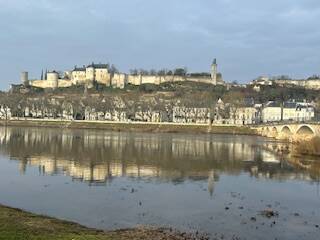 Chinon (37500)