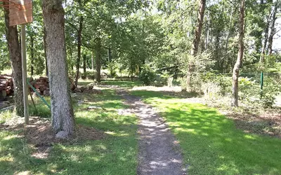 Pruniers-En-Sologne (41200)