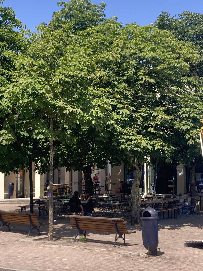 Bordeaux-Dans Le Quartier Recherché De  St Augustin -
