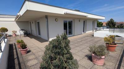 Vente appartement 5 pièces Sélestat (67600)