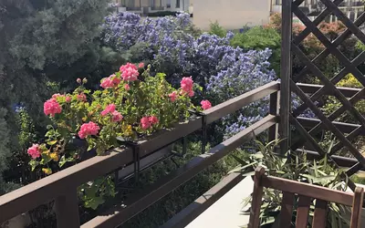 La Garenne-Colombes (92250)