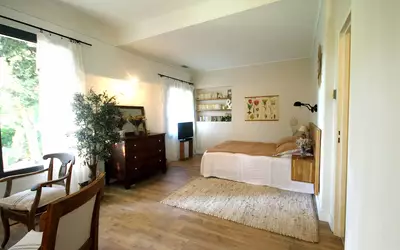 Nîmes (30000)