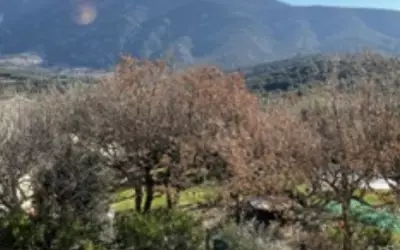 Vaison-La-Romaine (84110)