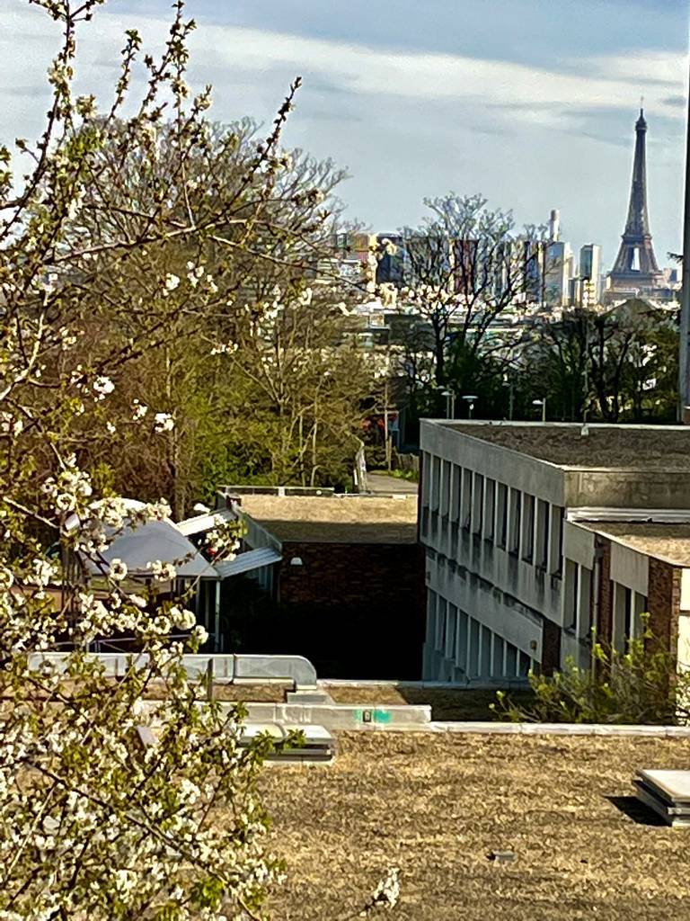Issy-Les-Moulineaux (92130)