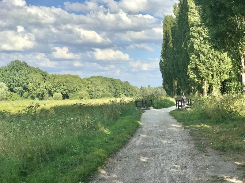 Gif-Sur-Yvette (91190)