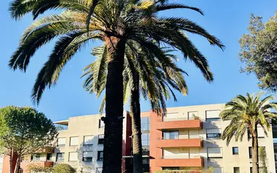 Montpellier (34000)