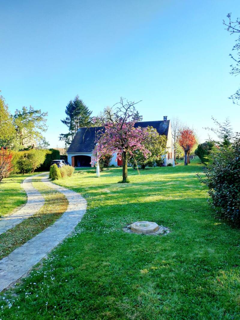 Paley (77710)