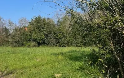 Mauves-Sur-Loire (44470)