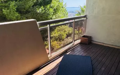 Nice (06000)