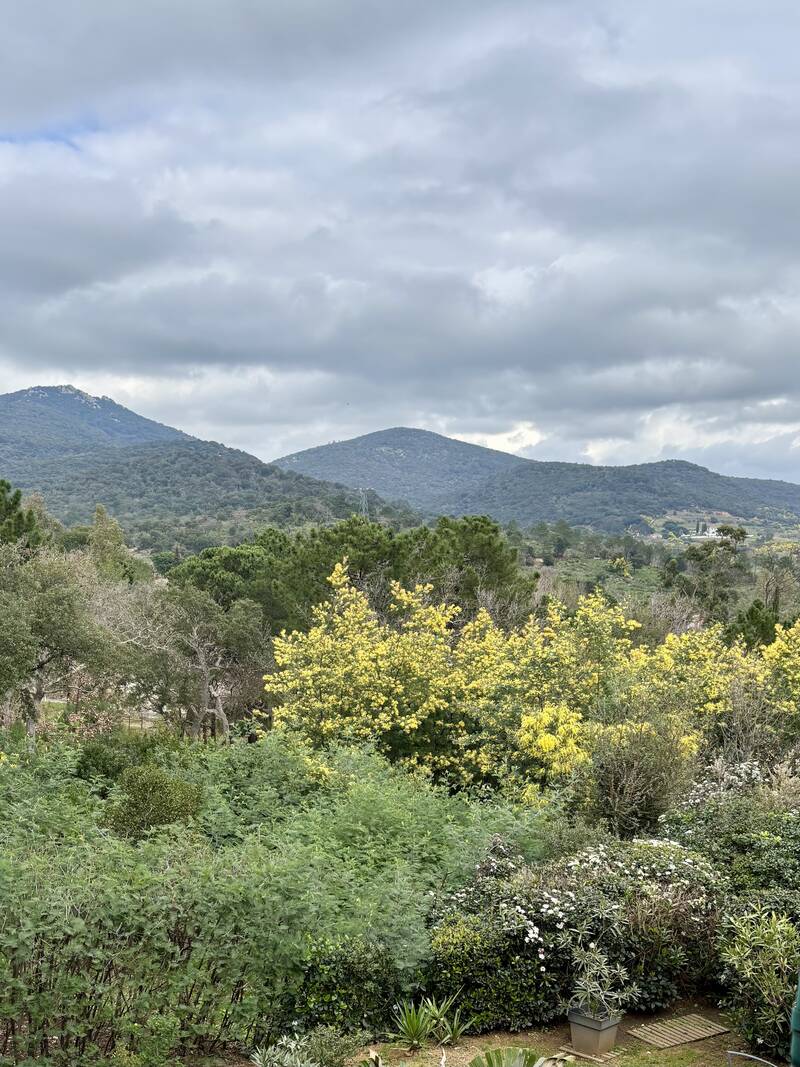 Grimaud (83310)