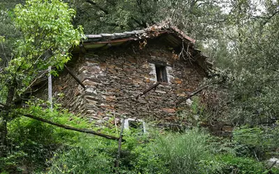 Chamborigaud (30530)